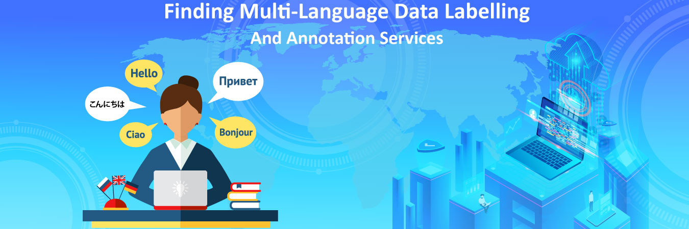 Finding Multi-Language Data Labelling and Annotation Services