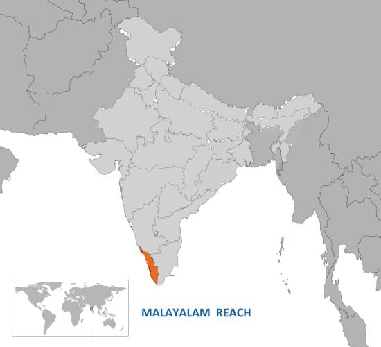 Hindi Language Speakers in the World