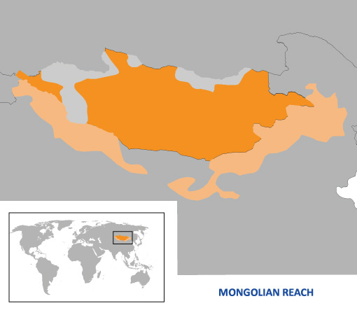 Hindi Language Speakers in the World