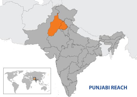 Hindi Language Speakers in the World