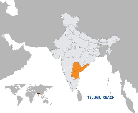 Hindi Language Speakers in the World