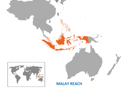 Hindi Language Speakers in the World