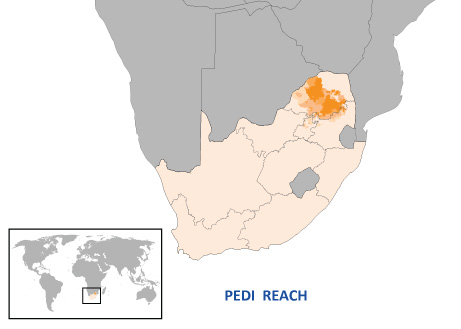 Pedi Reach