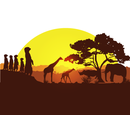Nyanja Translation and Language Services