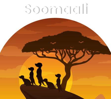 Somali Translation Services
